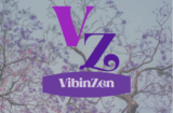 vibinzen.com